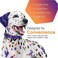 Joint Support For Dogs Medium 60 Soft Chews