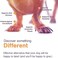 Joint Support For Dogs Medium 60 Soft Chews