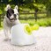 ALL FOR PAWS Interactive Dog Automatic Ball Launcher, Mini Version, Tennis Ball Throwing Machine for Small and Medium Size Dogs, 3 Balls Included