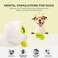 ALL FOR PAWS Interactive Dog Automatic Ball Launcher, Mini Version, Tennis Ball Throwing Machine for Small and Medium Size Dogs, 3 Balls Included