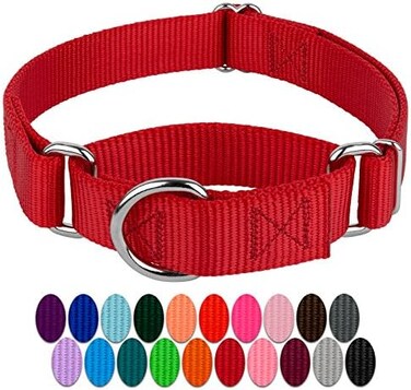 Country Brook Design Petz Martingale Dog Collar - Heavy-Duty Training Collar with No Buckle - Service Dog Collar for All Pups - Vibrant, Colorful Collection (Red, 3/4 Inch, Small)