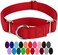 Country Brook Design Petz Martingale Dog Collar - Heavy-Duty Training Collar with No Buckle - Service Dog Collar for All Pups - Vibrant, Colorful Collection (Red, 3/4 Inch, Small)