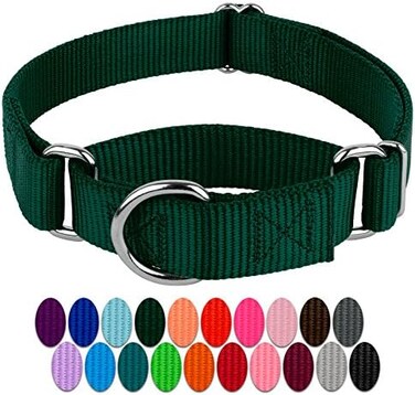 Country Brook Design Petz Martingale Dog Collar - Heavy-Duty Training Collar with No Buckle - Service Dog Collar for All Pups - Vibrant, Colorful Collection (Green, 3/4 Inch, Small)