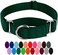 Country Brook Design Petz Martingale Dog Collar - Heavy-Duty Training Collar with No Buckle - Service Dog Collar for All Pups - Vibrant, Colorful Collection (Green, 1 Inch, Medium)