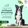 TropiClean Fresh Breath Dental Water Additive Concentrate   Dog Teeth Cleaning   Dog Breath Freshener   Dog Dental Care  Made in the USA   2.2 oz.