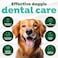 TropiClean Fresh Breath Dental Water Additive Concentrate   Dog Teeth Cleaning   Dog Breath Freshener   Dog Dental Care  Made in the USA   2.2 oz.