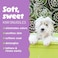 TropiClean Dog Conditioner Grooming Supplies - Moisturising Dog Conditioner for Allergies &amp; Itching - Derived from Natural Ingredients - Used by Groomers - Kiwi &amp; Cocoa Butter, 592ml