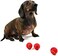 Midlee Mini Dog Tennis Balls 1.5" 12-Pack
