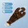 Best Pet Supplies 2-in-1 Stuffless Squeaky Dog Toys with Soft, Durable Fabric for Small, Medium, and Large Pets, No Stuffing for Indoor Play, Holds a Plastic Bottle - Monkey, Medium
