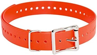حزام لطوق الكلاب من سبورت دوج براند، 2.5 سم, 1-Inch