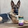 Petnc Natural Care Level-4 Hip &amp; Joint Health Supplement for Dogs (150 Chews), Glucosamine Chondroitin MSM Dog Chews with Manganese, Liver-Flavored Bone &amp; Joint Support Supplement