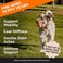 Pet Honesty Turmeric Curcumin for Dogs - Arthritis Hip &amp; Joint Supplement Soft Chews with Turmeric, BioPerine, Fish Oil &amp; Coconut for Joint Pain Inflammation Relief - Digestive &amp; Immune Health