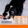 Pet Honesty Turmeric Curcumin for Dogs - Arthritis Hip &amp; Joint Supplement Soft Chews with Turmeric, BioPerine, Fish Oil &amp; Coconut for Joint Pain Inflammation Relief - Digestive &amp; Immune Health