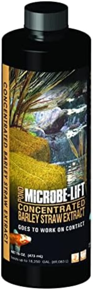 ماصة الشعير المستخلص المركّز من بركة 473 مل من شركة مايكروب ليفت