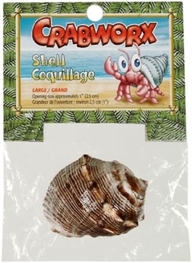 هاجن صدفة كرابوركس، مقاس L