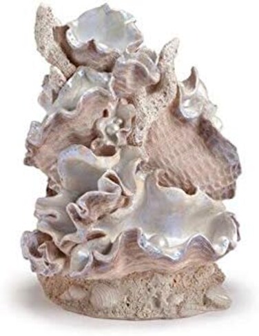 بايورب حلية صدفية من صامويل بيكر، مقاس M، اوف وايت