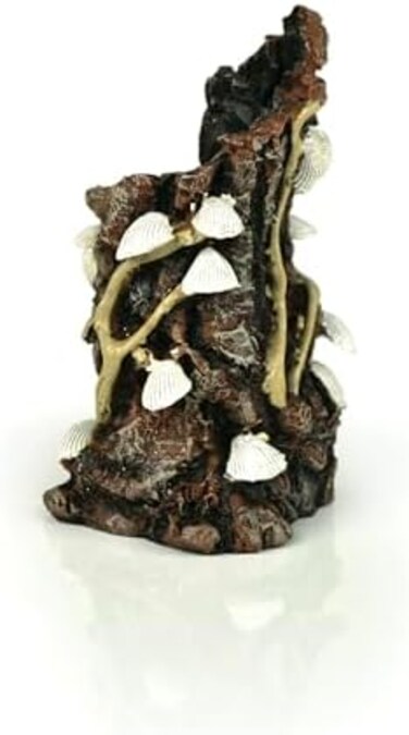 بايورب صموئيل بيكر اورنامنت اصداف بيضاء على جذع، صغير، بني