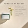 Herbivore Botanicals - Organic Blue Tansy Resurfacing Mask