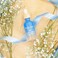 Passport to Organics Hyaluronic Acid Serum - &amp; Vegan - 100% Pure of a 1% solution 2oz