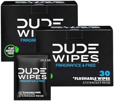 DUDE Wipes On-The-Go Flushable Wet Wipes - 4 Pack, 60 Wipes - Unscented Extra-Large Individually Wrapped Wipes with Vitamin E &amp; Aloe - Septic and Sewer Safe