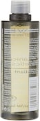 aveda Botanical Kinetics Exfoliant