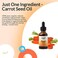 Allurials Organic Carrot Seed Oil: 100 Percent Pure, Unrefined, Cold Pressed Daucus Carota Oils - Natural Therapeutic Grade Carrots Moisturiser Serum for Skin and Face Treatment and Hair Growth - 30ml