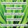 Amara Beauty Aloe Vera Gel from Organic Cold Pressed Aloe, 8 fl. oz.