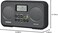 Sangean PR-D19BK FM Stereo/AM Digital Tuning Portable Radio with Protective Bumper (Gray/Black)