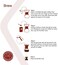 Chemex Pour-Over Glass Coffeemaker - Classic Series - 8-Cup - Exclusive Packaging