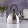 Mr. Coffee 91408.02 Carterton 1.5 Quart Stainless Steel Whistling Tea Kettle 1.5-Quart 085081145895