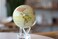 MOVA Globe Political Map Yellow 6" with Base, Solar Powered Rotating Globe No Need of Battery or Chord, Unique Gift and Decoration