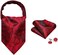 Barry.Wang Mens Silk Cravat Tie Paisley Woven Paisley Fashion Ascot and Pocket Square Cufflinks Set Wedding Formal