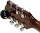 Snark Super Tight All Instrument Tuner - Black