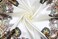 Vabovin 35" Women's Silk Like Scarf Large Square Satin Headscarf Fashion Pattern Hair scarves and wraps