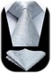 HISDERN Floral Paisley Wedding Tie Handkerchief Men's Necktie &amp; Pocket Square Set