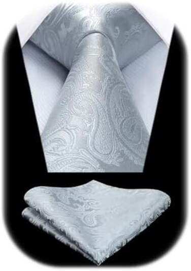 HISDERN Floral Paisley Wedding Tie Handkerchief Men's Necktie &amp; Pocket Square Set