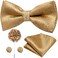 Dubulle Mens Paisely Silk Tie for Men Necktie and Pocket Square Set