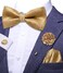 Dubulle Mens Paisely Silk Tie for Men Necktie and Pocket Square Set