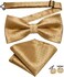 Dubulle Mens Paisely Silk Tie for Men Necktie and Pocket Square Set