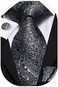 Hi-Tie Silk Paisley Necktie and Pocket Square Cufflinks Set