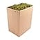 Super Moss (26967) Spanish Preserved, Basil, 8oz (200 cubic inch)