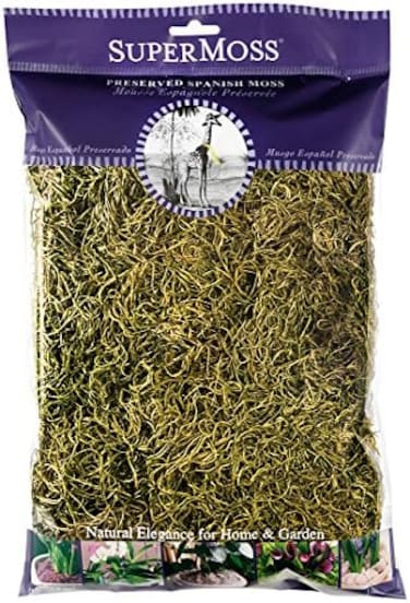 Super Moss (26967) Spanish Preserved, Basil, 8oz (200 cubic inch)