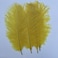 Shekyeon Yellow 10-12inch 25-30cm Ostrich Feather Home Decoration DIY Craft Pack of 10
