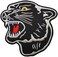 Graphic Dust Tiger Patch - Applique Embroidered patches - Iron on Patches - Backpack Patches - Size 10.5 x 10 Cm.