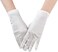 JISEN Women 20s Satin Velvet Lace gloves Formal Bridal Banquet Party Wedding Opera Colorful Mitten