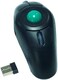 YUMQUA Y-10W 2.4 GHz Portable Finger Handheld Wireless USB Trackball Mouse for PC Laptop Mac Lovers