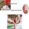 EchoDone Echodo Heart Tube Column Silicone Soap Mold Embed Soap Making Supplies Tool Heart Shape Candle Mold Set Soap Mould