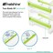 molshine 4 Pack Transparent Desktop Multi Washi Masking Tape Storage Dispenser,Tape Cutter,Tape Roll Holder (Not Include Masking Tape) (Beige)