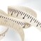 CraftyCrocodile 5/8" Natural &amp; Black Twill Tape Measure Ribbon