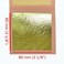 BARNABAS BLATTGOLD Genuine Gold Leaf Sheets 23.5k [3.1"] 25 Sheets G80-23.5K-25